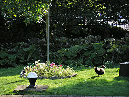 HPR707 with