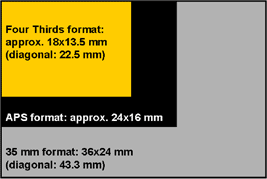 These are the relative surface areas of digital SLR sensors compared to traditional a 35mm fim full frame