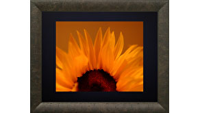 1564: PhotoVu Launches New 17