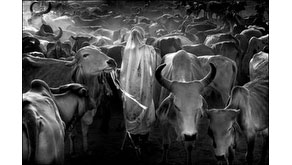 2142: A New Exhibition by John Kenny