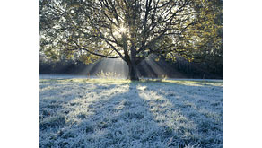 3794: National Trust announces Climate Change exhibition