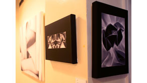 3962: Gitl Braun's third exhibition at Bruce Castle, North London