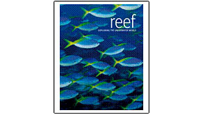 4135: DK publishes REEF: Exploring The Underwater World
