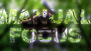 4245: Manual Focus: The digital camera of tomorrow, today?