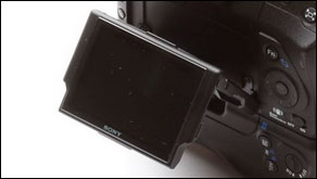 4538: Is there another Sony Alpha lurking?