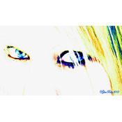 High Key Eyes, by Gina