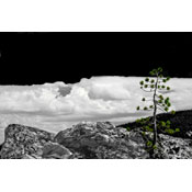 lava-flow-black-and-white-w, by Andrew