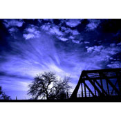 Winter Blues, by Mias