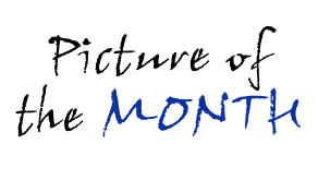 6433: CLOSED: Picture of the Month - August 2009