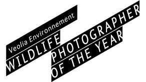 6479: Veolia Environnement Wildlife Photographer of the Year winner announced