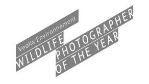 6668: Veolia Environnement Wildlife Photographer of the Year 2010 call for entries
