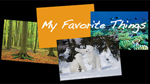 7318: Pressure on Lowepro to change competition rules won't abate