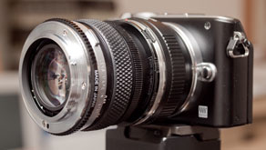 8189: A cheap and fun way to to shoot macro - use an old lens and a reversing ring