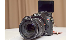 8229: Sony Alpha A-77 sample images