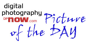 8563: DPNow.com Picture of the Day, Thursday 23rd February 2012