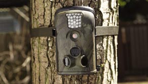 9244: Aldi special on a dedicated wildlife camera for your garden