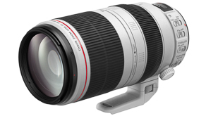 9540: The EF 100-400mm f/4.5-5.6L IS II USM  Powerful telephoto performance, wherever you are