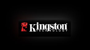 9541: Kingston Digital lets users capture the action with double the memory