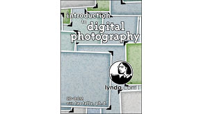 981: lynda.com Announces 