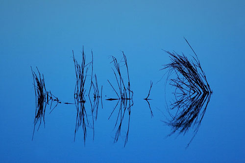 Blue Reflect, by Jerry Segrave