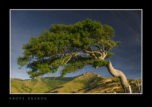 Above Akaroa, by Trevor White