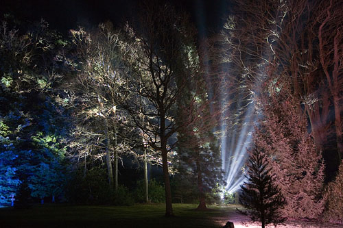 The Enchanted Garden, by Antony Scott