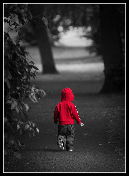 Little Red Riding Hoodie, by Andrew Thatcher