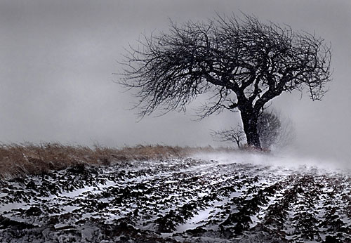 Winter Storm in Denmark, by Peder Winge