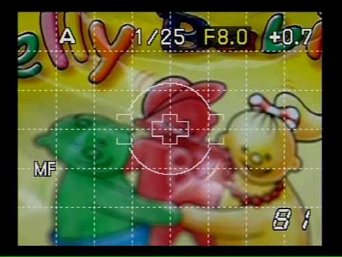 Another feature previously unavailable on Olympus' first live view DSLR, the E-330, was any form of enhanced framing aid. The E-410 offers several options, including this grid line display.