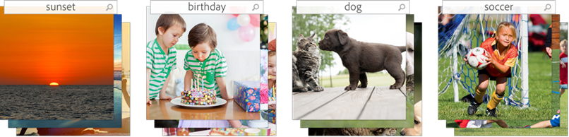 Adobe Elements 15